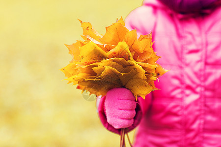 秋天,童,季节人的靠近小女孩的手,抱着枫叶户外图片