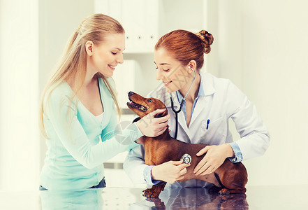 医学,宠物,动物,保健人的快乐的妇女兽医医生用听诊器检查狗的健康兽医诊所图片
