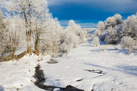 冬季景观河流附近的树木蓝天冬天的风景农村的高清图片素材