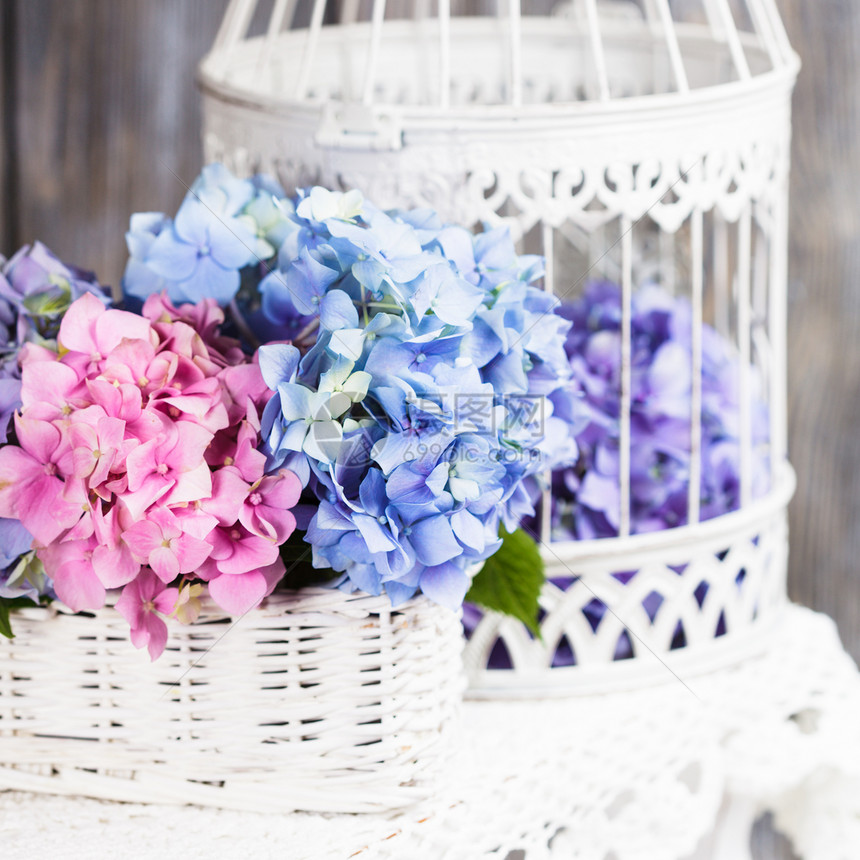 白色篮子里的绣球花家庭的花卉装饰绣球花图片