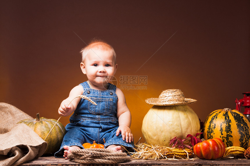 可爱的婴儿,手里着麦穗,摆南瓜的背景上明信片感恩节图片