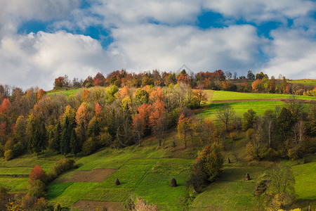 美丽的乡村秋景喀尔巴阡山秋天的风景图片