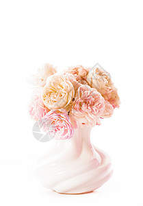 粉红色白色盛开的玫瑰,白色的花瓶中分离白色的背景上花瓶里盛开的玫瑰图片