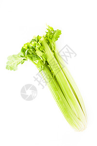 绿色芹菜白色背根上分离分离出绿色芹菜图片