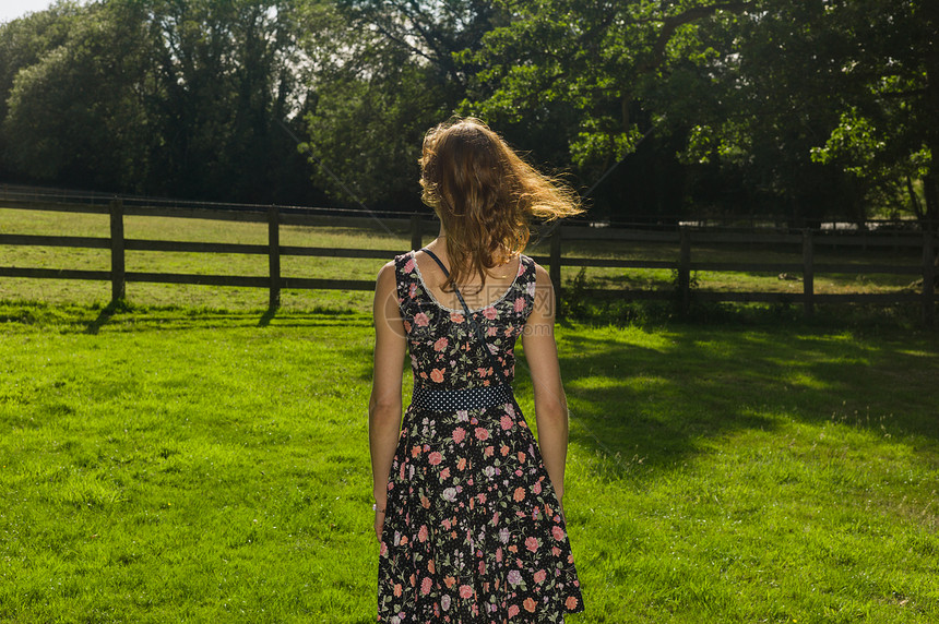 个穿着连衣裙的轻女人夏天站篱笆附近的田野里图片