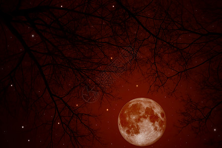 夜空中血红的月亮图片