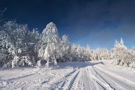 白俄罗斯晴朗寒冷的冬天晴朗寒冷的冬天图片