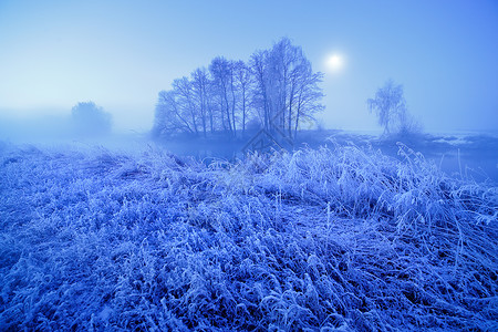 月光冬天朦胧的夜晚草地上的雪霜白俄罗斯冰高清图片素材