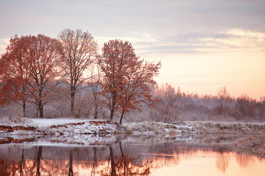 多云的秋晓秋天河上的场雪河岸上的橡树白俄罗斯秋天的场景图片