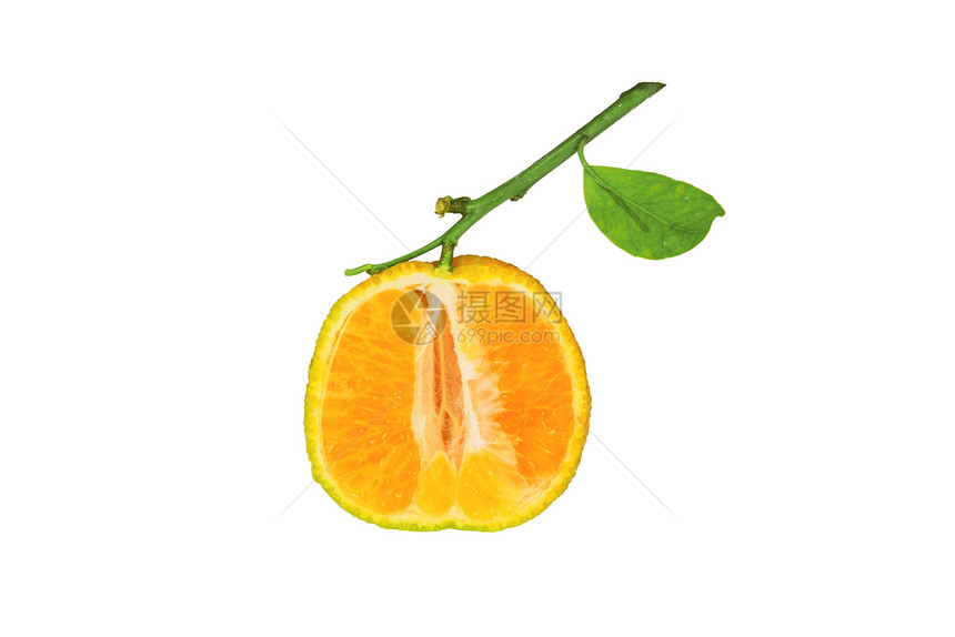 橙色克莱门汀,白色背景上分离出片绿叶图片