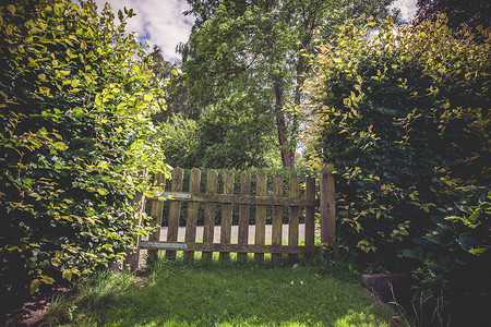夏天绿色花园里的木门图片