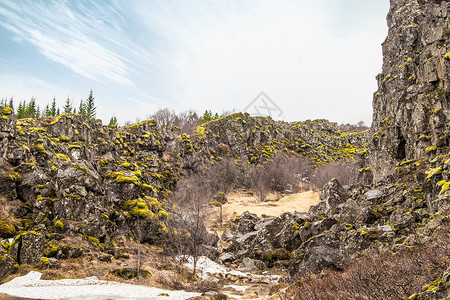 冰岛伊夫利尔公园悬崖上的苔藓图片