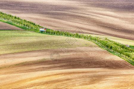线条波浪与草边界,南莫拉维亚,捷克共国景观高清图片素材