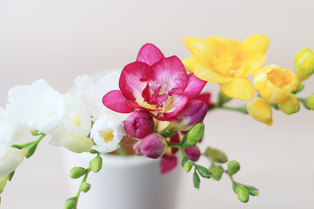 家居装饰花瓶里的花图片