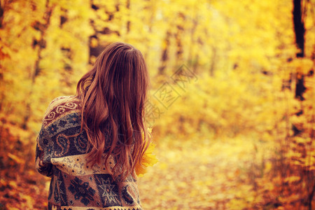 卷发女孩户外的秋天肖像后视图图像色调风格的Instagram过滤器图片