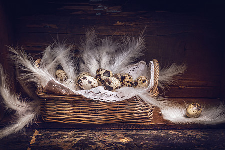 篮子与鹌鹑蛋羽毛旧的木制桌子上,乡村背景,侧观看复活节贺卡图片