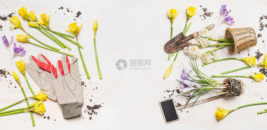 春天的花盆,花园的工具工作手套白色的木制背景,顶部的视图,横幅园艺图片