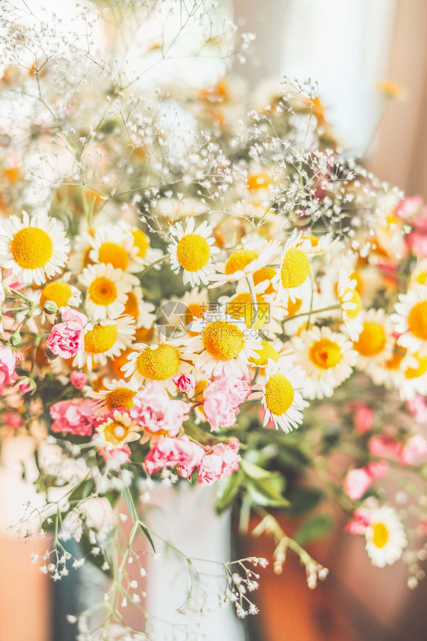 花与野生雏菊,花卉背景图片