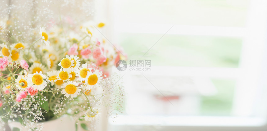 漂亮的雏菊窗户上,花的背景图片