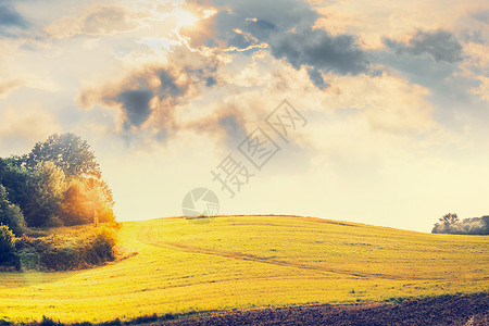 乡村景观小山,田野,树木美丽的天空与云阳光图片