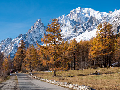 秋天的山路背景落叶松树雪峰的勃朗古梅尔,瓦尔DRsquoAosta,意大利,欧洲背景图片