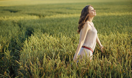 绿色玉米地里放松的女人背景图片