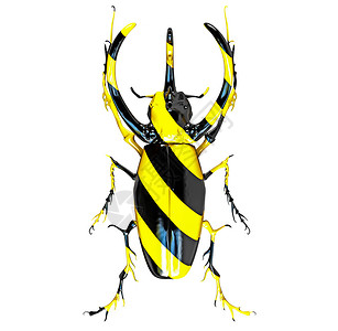 犀牛甲虫,漆成黑色黄色条纹三维图片