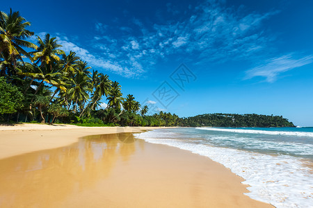 热带度假背景天堂田园海滩斯里兰卡图片