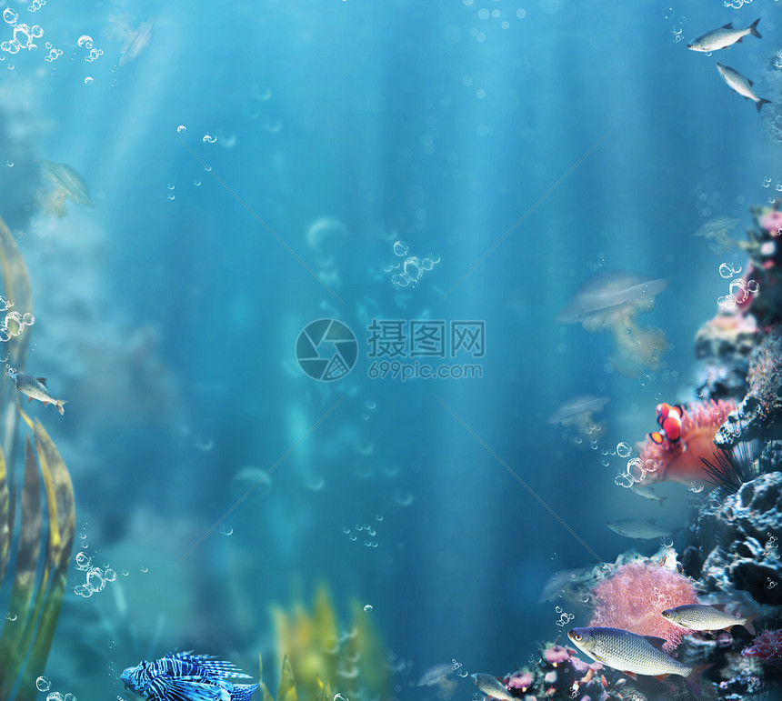 海陆战队海洋生活带鱼珊瑚的水族馆图片