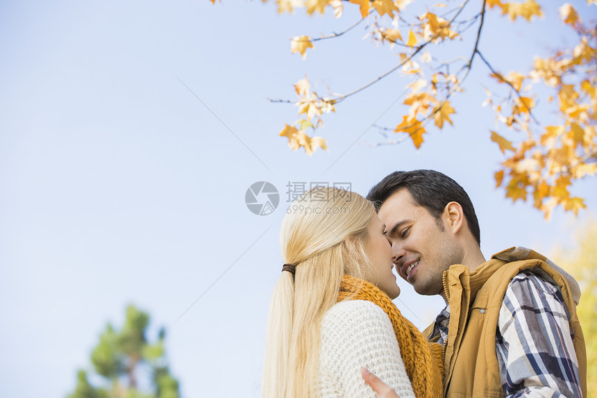 秋季情侣亲吻晴空的低角度视角图片
