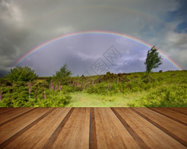 双虹以上的田野夏天的狐狸与木制木板地板图片