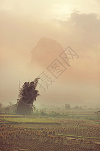 越南曹邦省图片