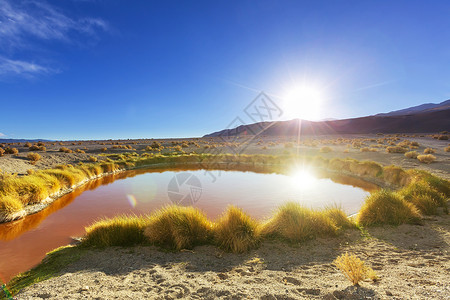 天空草地沙漠阿根廷北部的景观背景