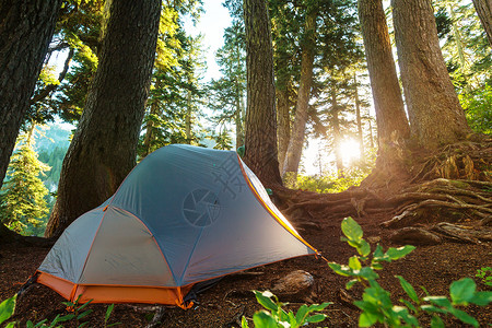 森林露营地的帐篷图片