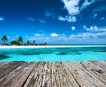 美丽的海滩,沙嘴旧木墩马尔代夫图片