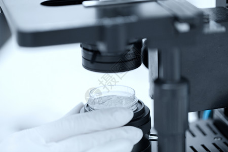 科学化学生物学医学人的用显微镜粉末测试样品临床实验室进行研究图片