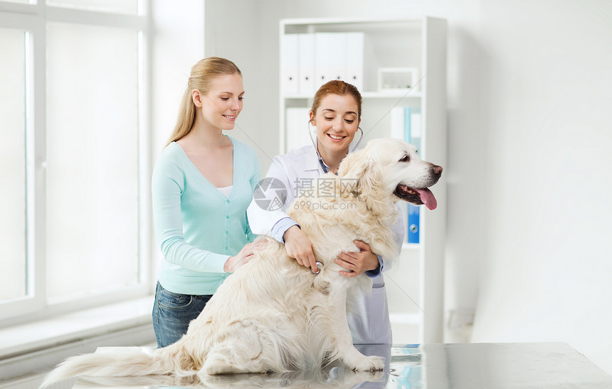 医学,宠物,动物,保健人的快乐的妇女兽医医生与听诊器检查黄金猎犬兽医诊所图片