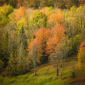 山丽的乡村秋景秋天的风景图片