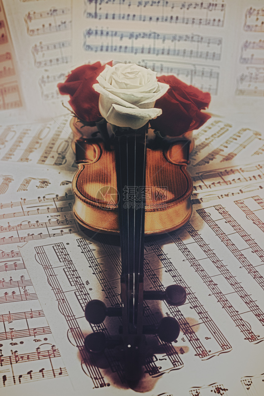 带着音符玫瑰特写的老小提琴图片