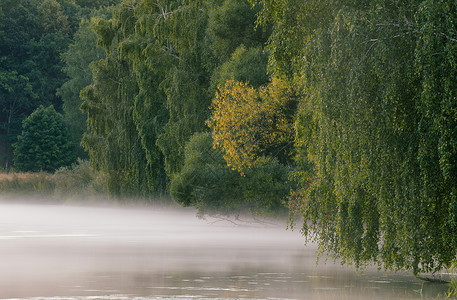 江上雾蒙蒙的早晨高清图片