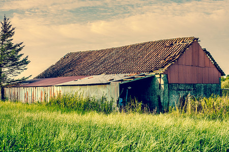 老谷仓的房子被高高的草包围着图片