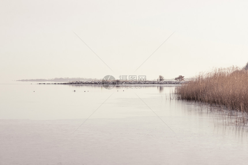 冬天田园诗般的湖景图片