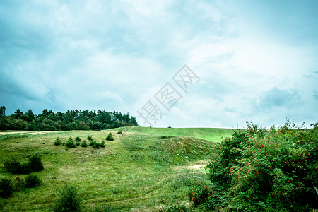 多云天气蓝天的绿色田野图片