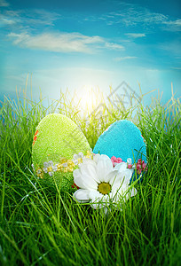 蓝色复活节彩蛋蓝天背景下的草地上装饰复活节彩蛋背景