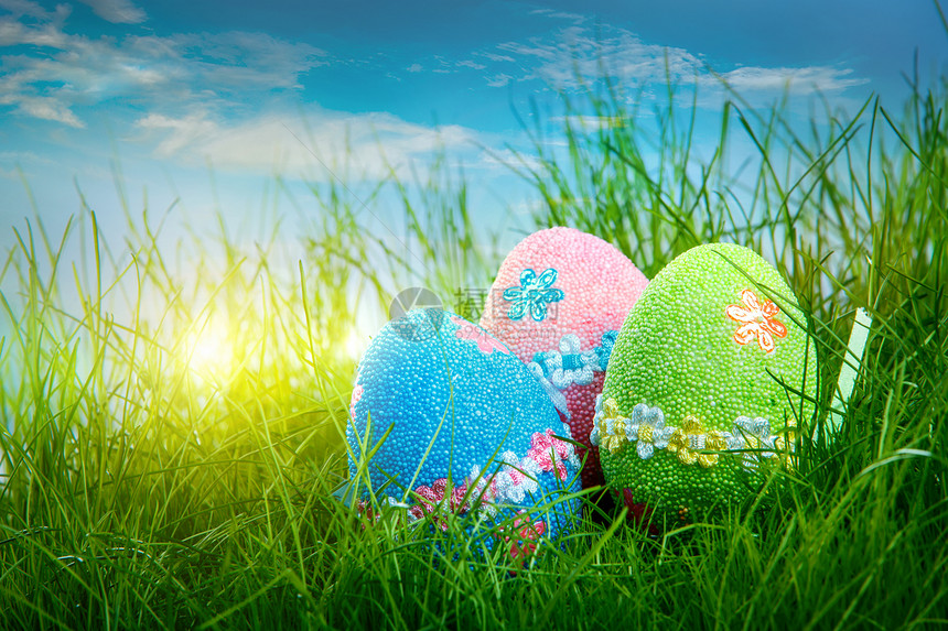 蓝天背景下的草地上装饰复活节彩蛋图片