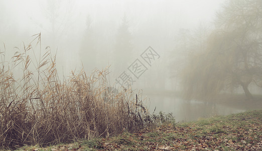 雾蒙蒙的早晨小静止的湖上阴影高清图片素材