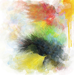 水彩数字绘画羽毛背景图片