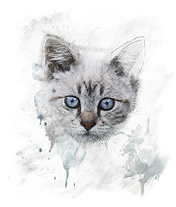 轻猫的水彩数字绘画图片