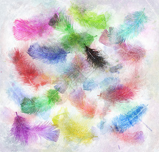 彩色羽毛的水彩数字绘画图片