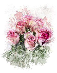 粉红色玫瑰的水彩数字画图片